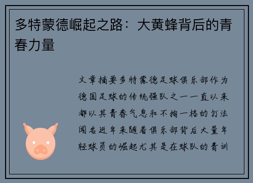 多特蒙德崛起之路：大黄蜂背后的青春力量